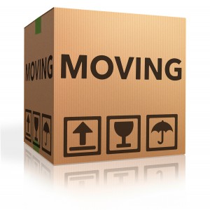 Movers Jefferson Ga Bulldog Movers Can Help With Your Relocation
